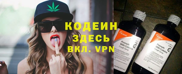 трава Сатка