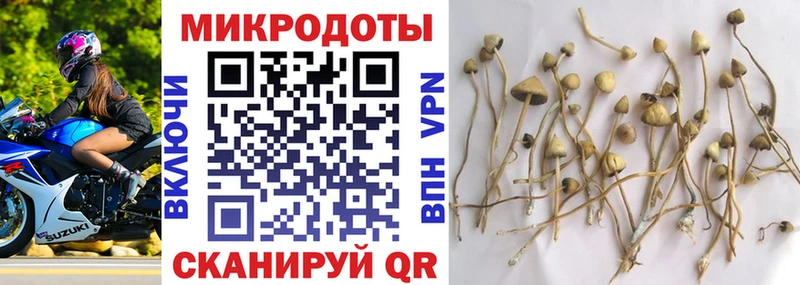 Галлюциногенные грибы прущие грибы  Аркадак 